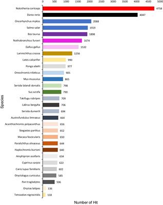 De novo Assembly and Characterization of Patagonian Toothfish Transcriptome and Develop of EST-SSR Markers for Population Genetics